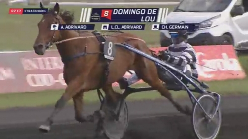 DOMINGO DE LOU (Real de Lou-Quinska de Lou)