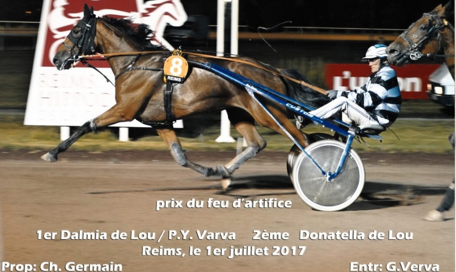 DALMIA DE LOU (Real de Lou-Riva de Lou) DONATELLA DE LOU (Jag de Bellouet-Kooka de Lou)