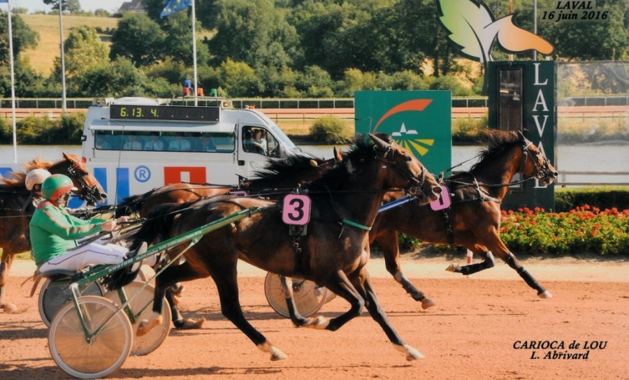 CARIOCA DE LOU (Jag de bellouet-Lola de Lou)