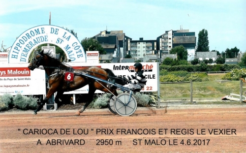 CARIOCA DE LOU ( Jag de Bellouet-Lola de Lou)