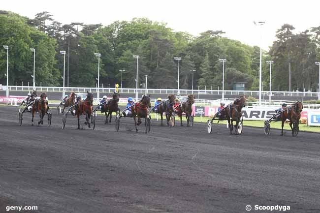 DIANA DU CHATELET ( Real de Lou-Tirade du chatelet)