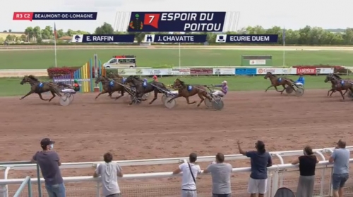 EL CAMINO DE LOU (Royal dream-Saba du vivier)