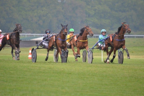 ERMINE DU LUDE (Real de Lou-Reine des sables)