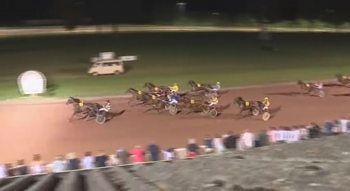 GIRLY D’HUON (Real de Lou-Udiana de Lou)