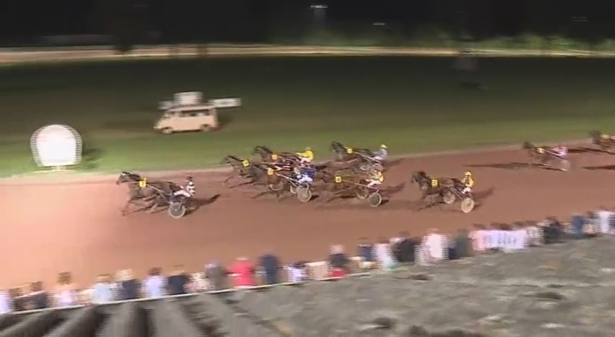 GIRLY D’HUON (Real de Lou-Udiana de Lou)