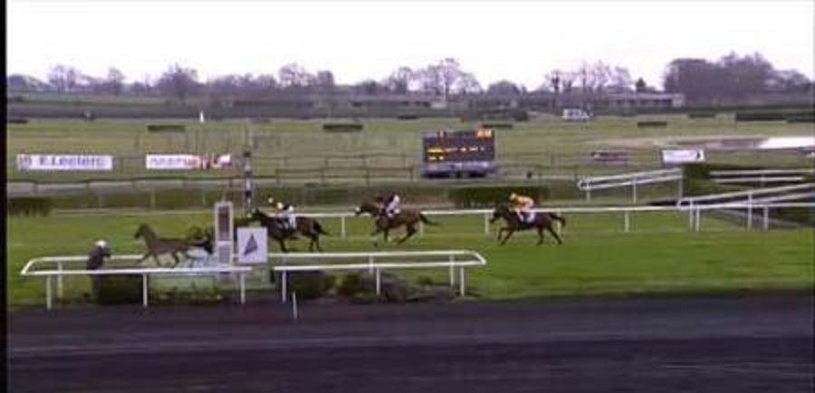 LOU PRINCESS ( Martaline-Nile Majique)