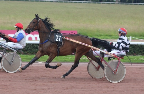 ETOILE DE LOU (Real de Lou-Unica)