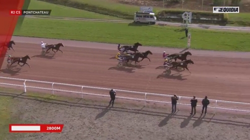 DUDU DU NOYER (Real de Lou-Samarcande)