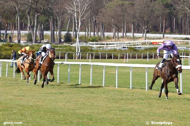 LOU WONDERFUL (Kapgarde-Nile Majique)