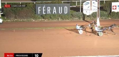 CLASSICO DE LOU (Niky-Harmony de Lou)