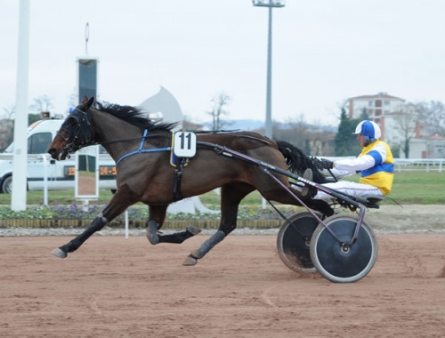 DIVA DU VALLON (Real de Lou-Perle du vallon par Goetmals...