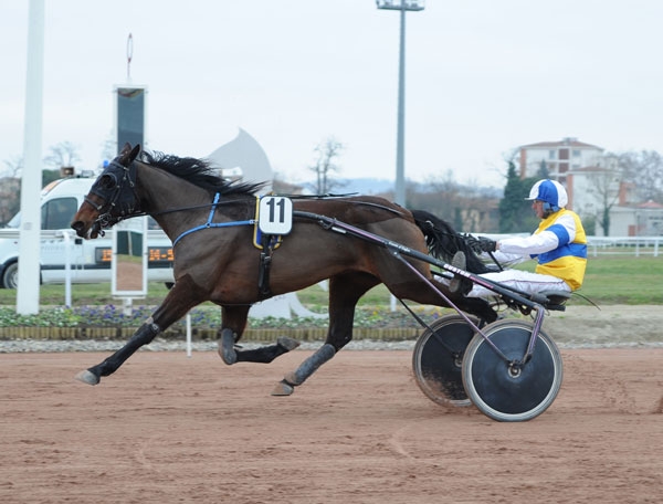 DIVA DU VALLON (Real de Lou-Perle du vallon par Goetmals wood)