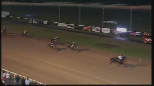 HIGH ROCK DE LOU ( Bold eagle-Aosta de Lou)