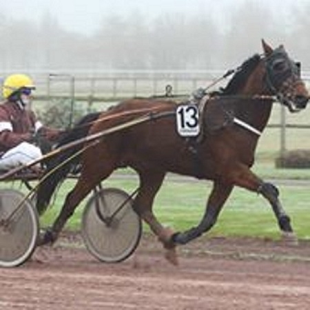 DJANGO D’HAMELINE ( Real de Lou-Serena d’hameline)