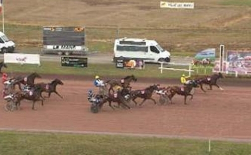 DORADA DE LOU (Sam Bourbon-Riviera de Lou)