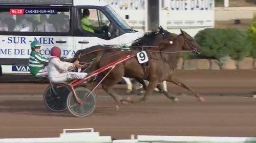 ELMAGNIFICO DE LOU (Prodigious-Prima dona de Lou)