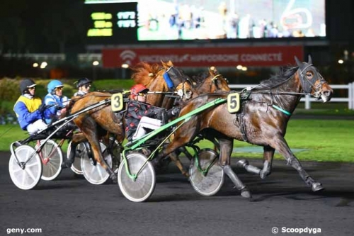 DIANA DU CHATELET (Real de Lou-Tirade du chatelet)