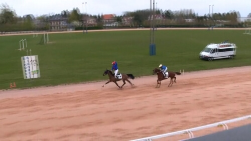 HAVANA DE NILREM ( Real de Lou-Paola dor fix)