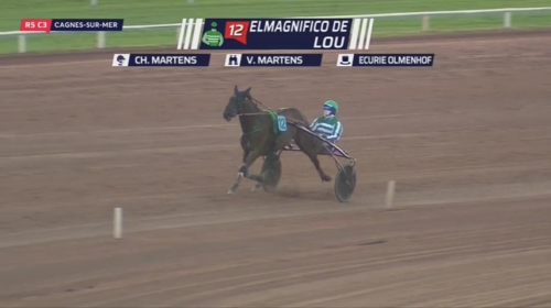 ELMAGNIFICO DE LOU (Prodigious-Prima dona de Lou)