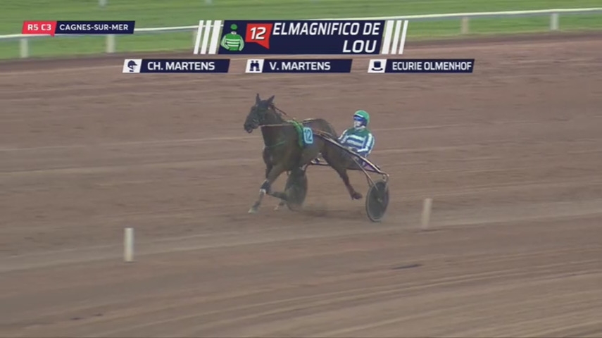 ELMAGNIFICO DE LOU (Prodigious-Prima dona de Lou)