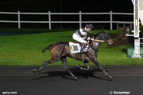 DAIDA DE VANDEL (Real de Lou-Gallia de Vandel)