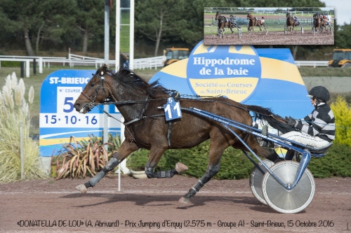 DONATELLA DE LOU (Jag de Bellouet-Kooka de Lou)