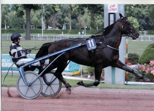 REAL DE LOU (Jag de Bellouet-Kooka de Lou)