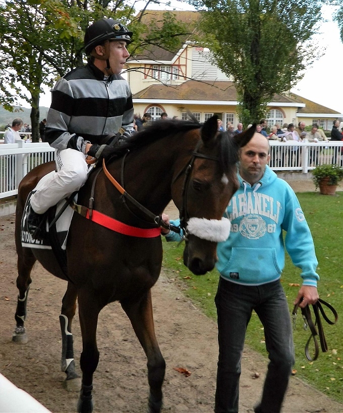 LOU GOLD (Poliglote-Green Emerald)