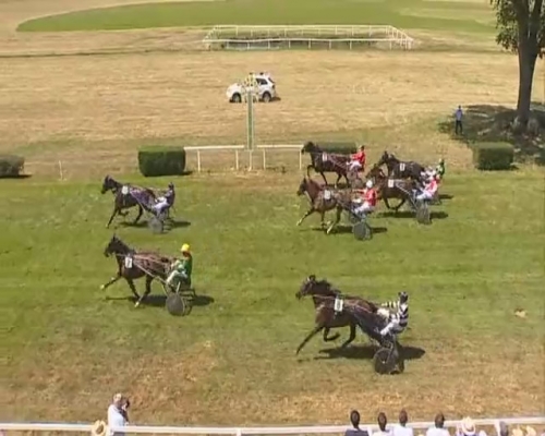 GIRLY D’HUON (Real de Lou -Udiana de Lou)