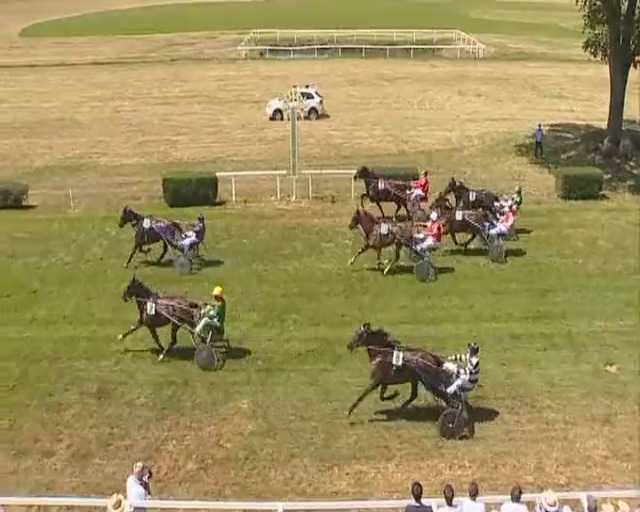 GIRLY D’HUON (Real de Lou -Udiana de Lou)