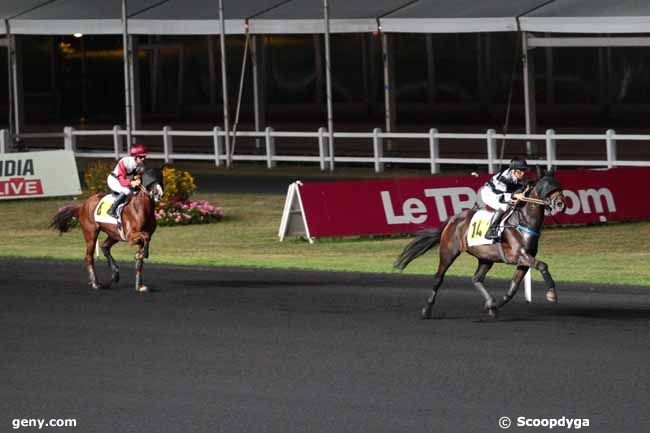 DAIDA DE VANDEL (Real de Lou- Gallia de Vandel)