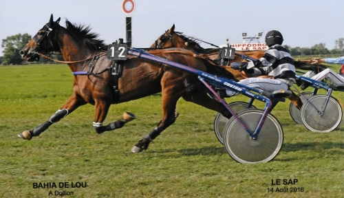 BAHIA DE LOU (Love You-Olinska de Lou)